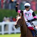 Frankie Dettori will make his Northern Ireland racing debut at Down Royal Racecourse in September