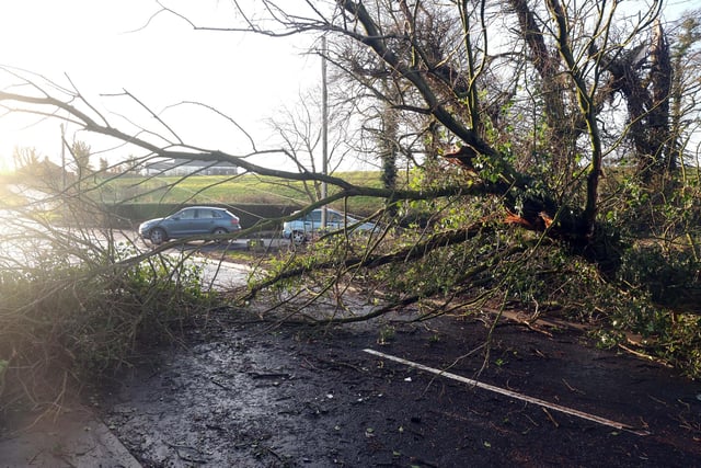 Storm Isha, Electricity outages, blocked roads and school closures as disruption caused across NI