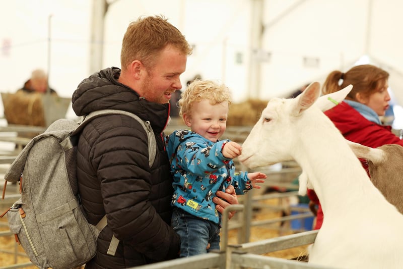 One & half-year-old Joshua McFarlane with his father Nathan pet the goats. Picture by Jonathan Porter/PressEye