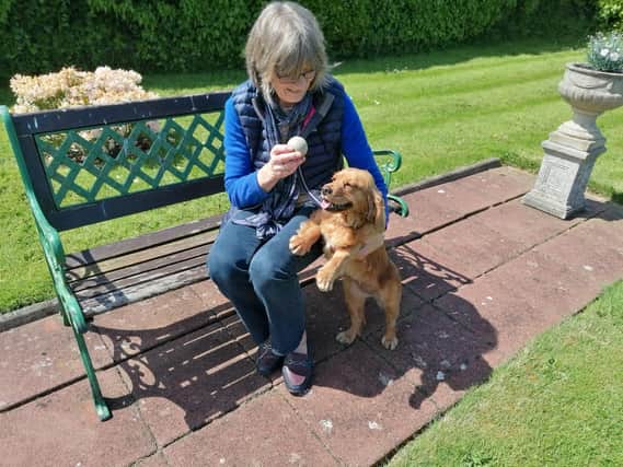 Sandra Chapman is looking forward to her first Christmas with her beautiful Golden Cocker Spaniel, which had been used for illegal breeding