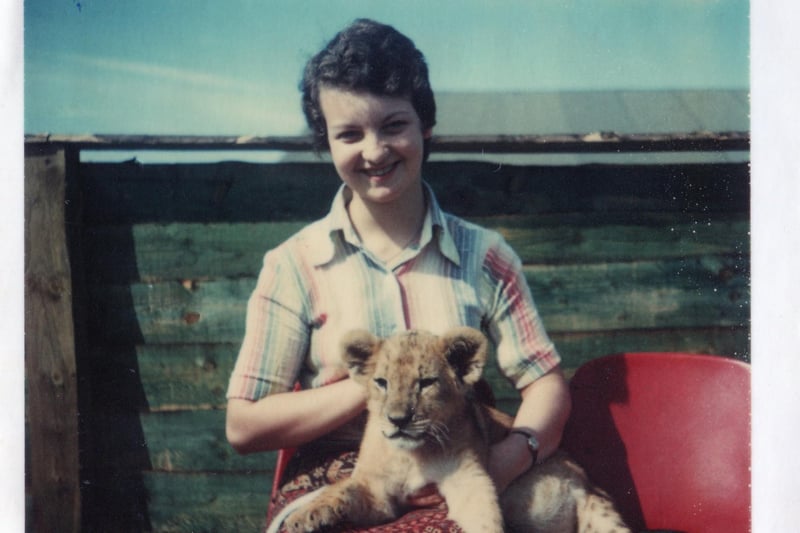 Local lady picture at the safari park with one of the lion cubs