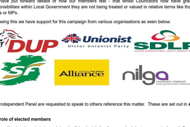 A screengrab from the National Councillors Association says it is endorsed by the main political parties.