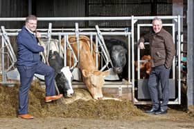 The DUP's Ian Paisley has welcomed a call from the British Veterinary Association for a deal on animal medicines being allowed to enter Northern Ireland.