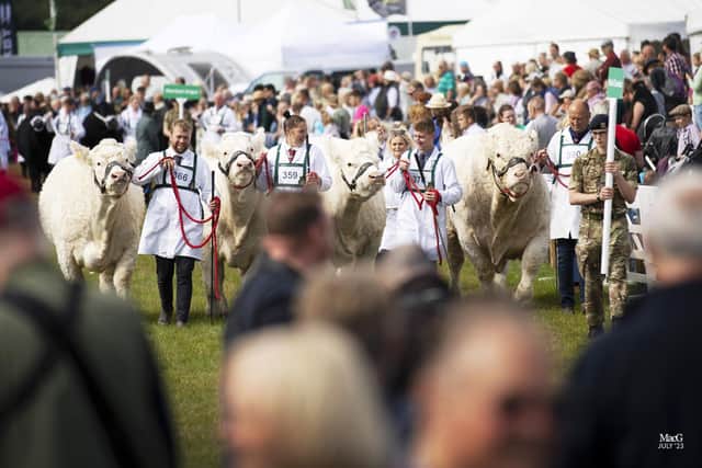 Interbreed champions group of four. Picture: CATHERINE MACGREGOR