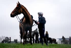 Paul Townend with State Man on the gallops ahead of the 2024 Cheltenham Festival. (Photo by David Davies/PA Wire)