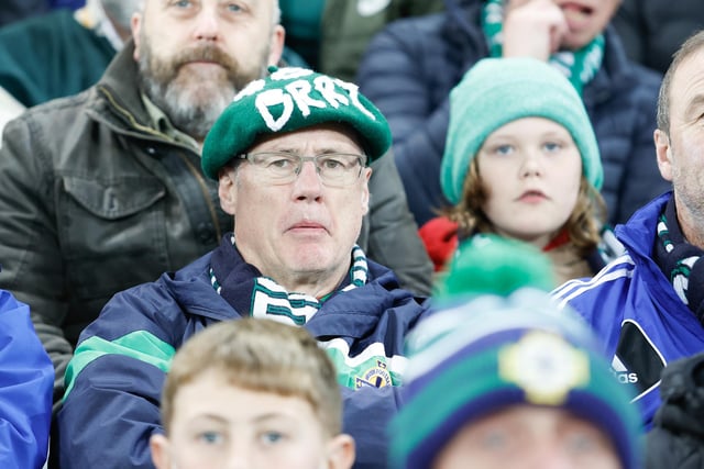 Northern Ireland fans watch on as their team face Slovenia