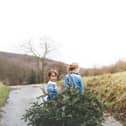 Budding gardeners will learn more about recycling their Christmas tree at Dobbies’ January Little Seedlings workshop (© Getty Images)