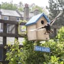 A bird box is a great way to encourage birds into your garden