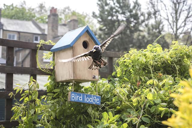 A bird box is a great way to encourage birds into your garden