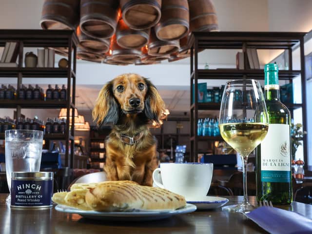 Belfast's Hinch Distillery enhances their commitment to providing unique and memorable moments for all, including furry friends. Pictured is Lola, the adorable pup, behind the Hinch Cafe