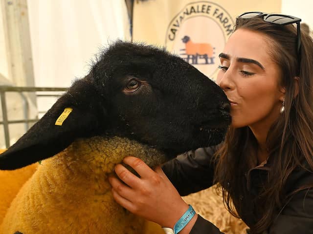 Natasha Doherty pictured with her Suffolks raw lamb from Strabane at the Balmoral Show. Photo: Arthur Allison/Pacemaker Press