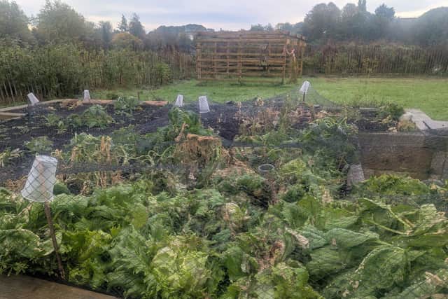 Poisoning food crops at the Friends Of The Field Community Garden
