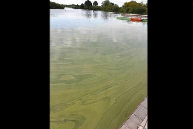 Northern Ireland has been experiencing an increase in blue-green algae blooms. The pollution of our rivers and lough, and even beaches, is an outrage, writes John Mulholland