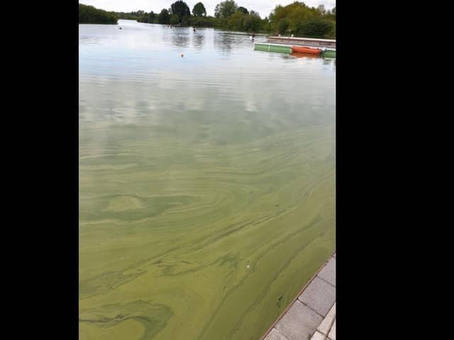 Northern Ireland has been experiencing an increase in blue-green algae blooms. The pollution of our rivers and lough, and even beaches, is an outrage, writes John Mulholland