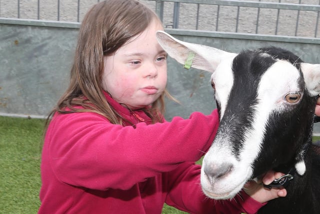 Chrisy Orr with her Goat at the last day of Balmoral show