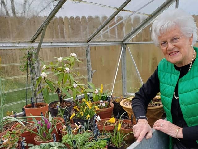Member of the Alpine Garden Society for 45 years and Ulster Show Show Secretary , Pat Crossley is pictured in her Alpine House in Stranocum