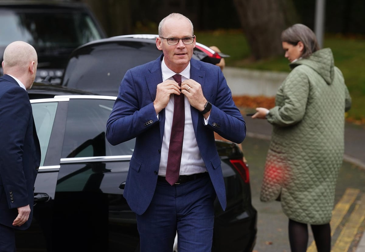 Simon Coveney tells loyalist paramilitaries that a security alert dragged the 'reputation of the community backwards'