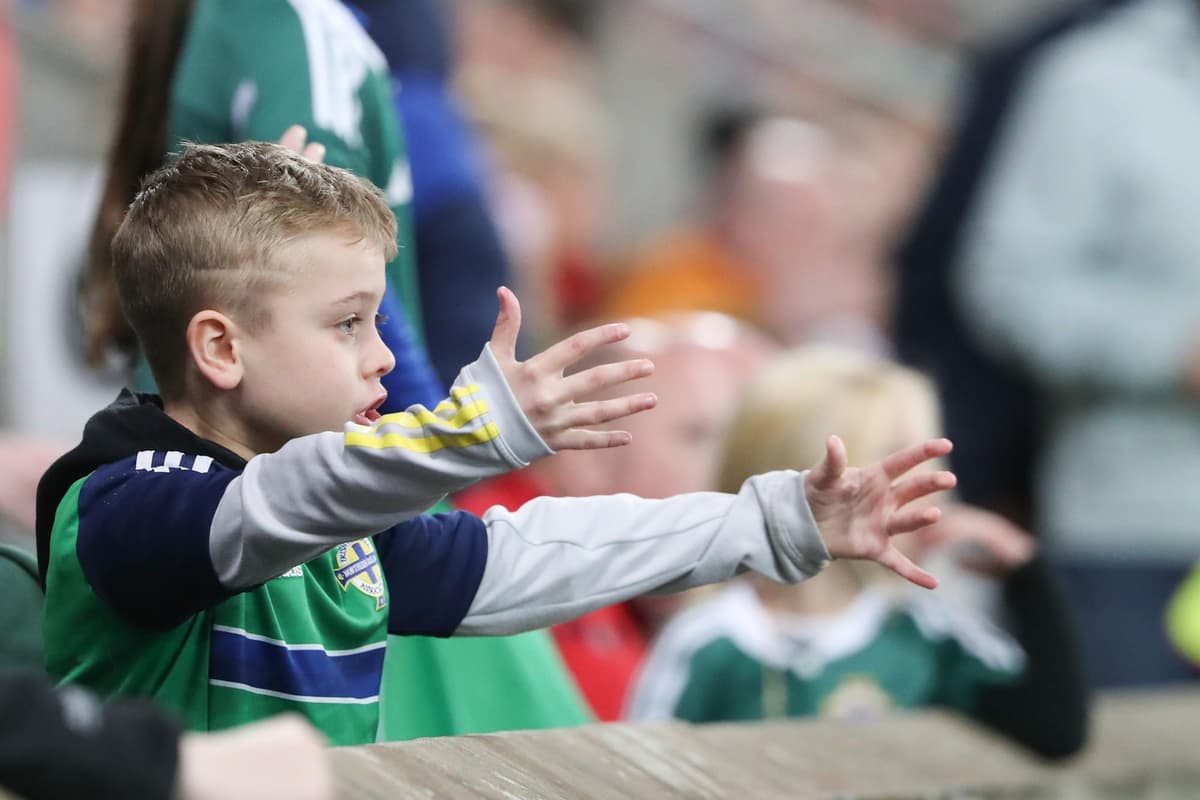 GALLERY: All of the best fan photos from Northern Ireland's Euro 2024 qualifier against Slovenia at Windsor Park