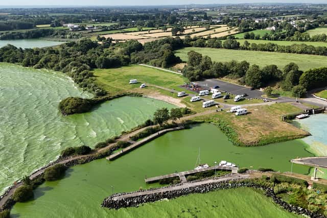Blue-green algae at Battery Harbour on Lough Neagh in August 2025. Photo: Niall Carson/PA