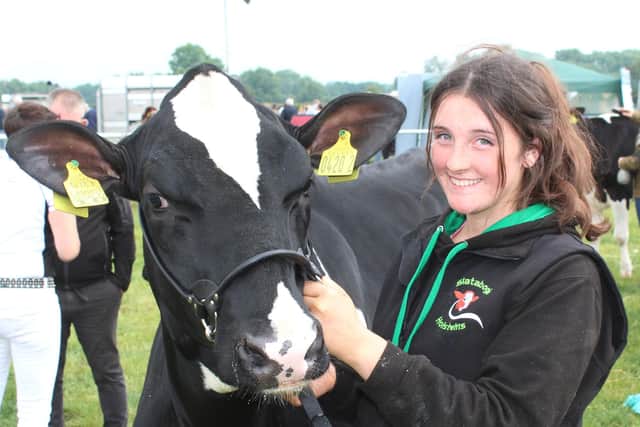 Getting ready for the show ring at Ballymean Show: Colleen Crawford, from Slatabogie Holsteins