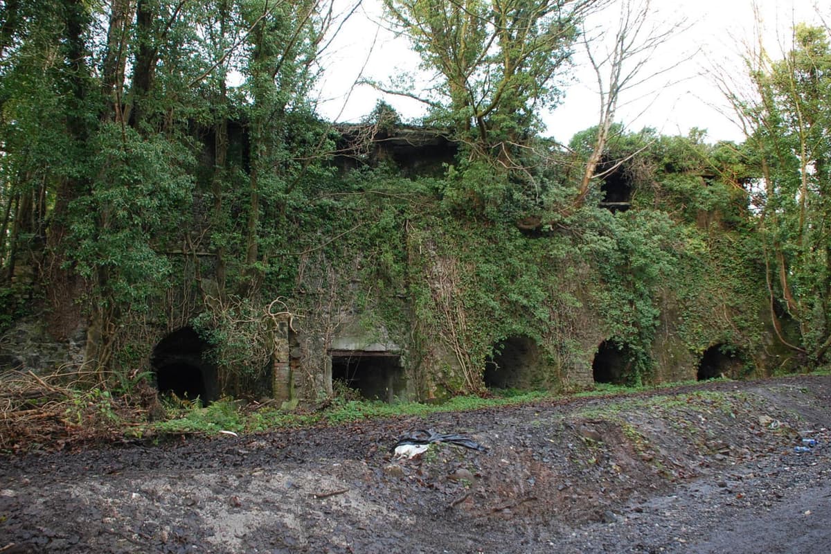 Man fined £50,000 for destroying historic lime kilns near Lisburn in Co Antrim