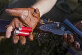 Legal opinion obtained by the Countryside Alliance warns using a dog when shooting rabbits for recreation or food could be outlawed. Photo: Jane Barlow/PA Wire