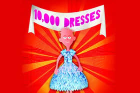 The cover of 10,000 dresses, which Amazon says is suitable for five-to-six-year-olds; some of the books in NI libraries are aimed at children younger still