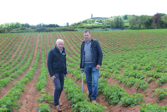 Wilson's Country managing director, Lewis Cunningham and company agronomist, Stuart Meredith, inspecting new season potato crops in Co Down