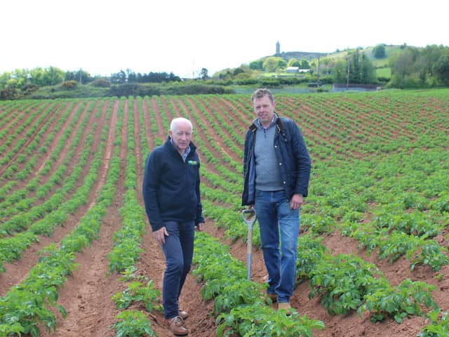 Wilson's Country managing director, Lewis Cunningham and company agronomist, Stuart Meredith, inspecting new season potato crops in Co Down
