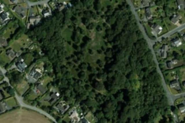 An aerial view of Tullynagardy Wood, Newtownards, included by Ards and North Down Council planners in a report okaying a housing development on the site.