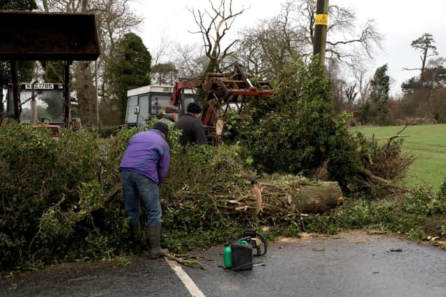NI Traffic Watch listed a number of roads across Northern Ireland that were closed after heavy winds and rain brought down trees and caused some flooding/landslip.
(Generic file photo from Pacemaker Press).