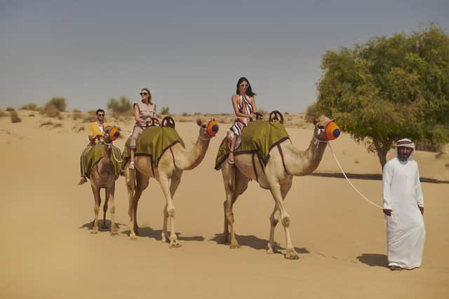 Camel riding in the desert.