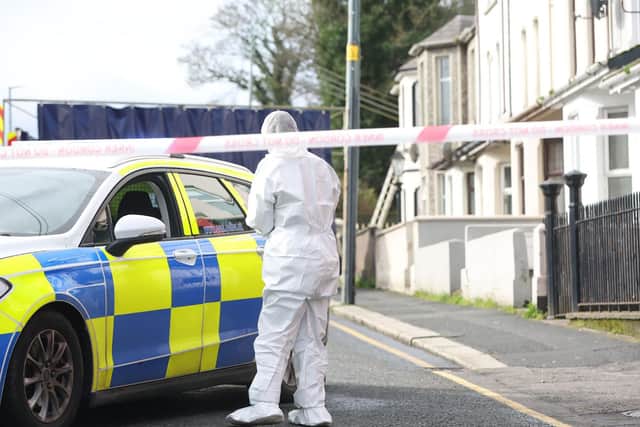 A man has been arrested in a murder probe following a fire in Portadown