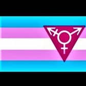 The colours and one of the many symbols used by transgender activists