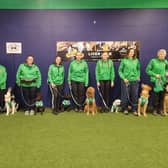 The Northern Ireland Crufts team which will be competing on Friday. Pictured are Mick McCurry with Tucker the Lagotto, Daisy Mulcahy and her Collie Ben, Ema O' Hare and Salsa the Mudi, Aimee Henry and Ezra the Cockapoo, Brenda Patterson and her Golden Retriever Jodie, Tori and her Bishon Heidi, Lisa Craig and her Golden Retriever Evie and Ruth Carpenter and her Dutch Shepard Cross
