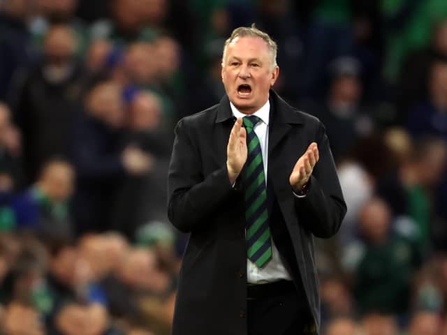 Northern Ireland manager Michael O'Neill reveals he has 'accepted' that the number of internationals playing in the Premier League has dropped
