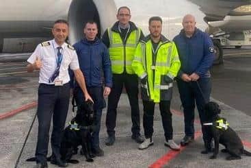 Dressed in navy blue, Ryan Gray (left) and Kyle Murray (right) and their dogs Max and Delta have flown to Turkey to assist in rescue operations.