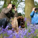 Ulster Wildlife calls on nature lovers across Northern Ireland to sign up for wild June challenge