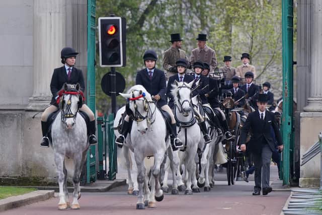 Six of the eight Windsor Grey horses that will pull the Gold State Coach in Hyde Park during a rehearsal for the coronation of King Charles III