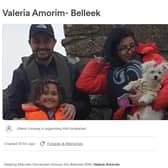 The Go Fund Me page raising money for the husband of road victim Valeria Amorim