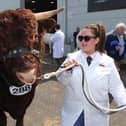 The show was a four-day shop window for the best of NI farming