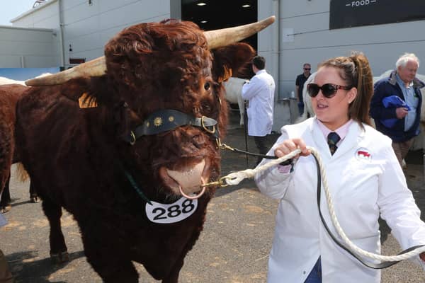 The show was a four-day shop window for the best of NI farming