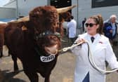 The show was a four-day shop window for the best of NI farming