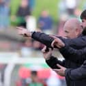 Paddy McCourt and Tim McCann have been leading Glentoran for the past month. (Photo by David Maginnis/Pacemaker Press)