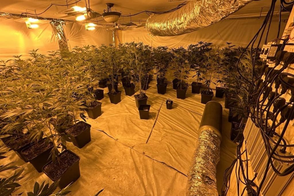 Two men to appear in court charged with suspected cannabis factory in Markethill