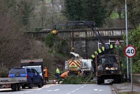 Workmen clear the Old Stone Road at Muckamore on Wednesday (24-01-24) following Storm Jocelyn. Photo: Stephen Davison/Pacemaker Press