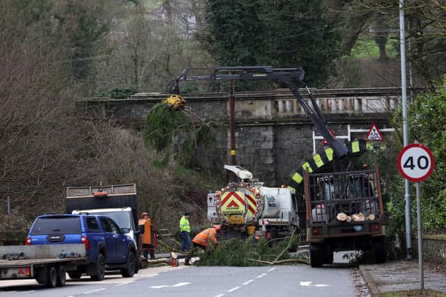 Workmen clear the Old Stone Road at Muckamore on Wednesday (24-01-24) following Storm Jocelyn. Photo: Stephen Davison/Pacemaker Press