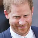The Duke of Sussex, Prince Harry