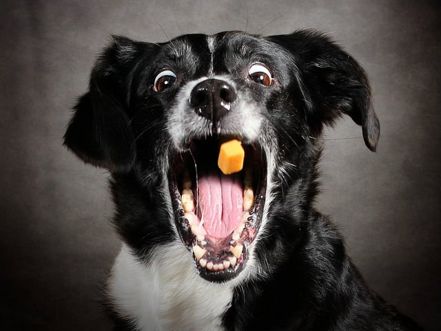 Carolyne, who owns Carrie Southerton Photography, said: "It was a crazy day but we have never laughed so much ever."
