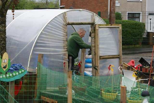 Damien Lindsay in a polytunnel at St James’ Community Farm